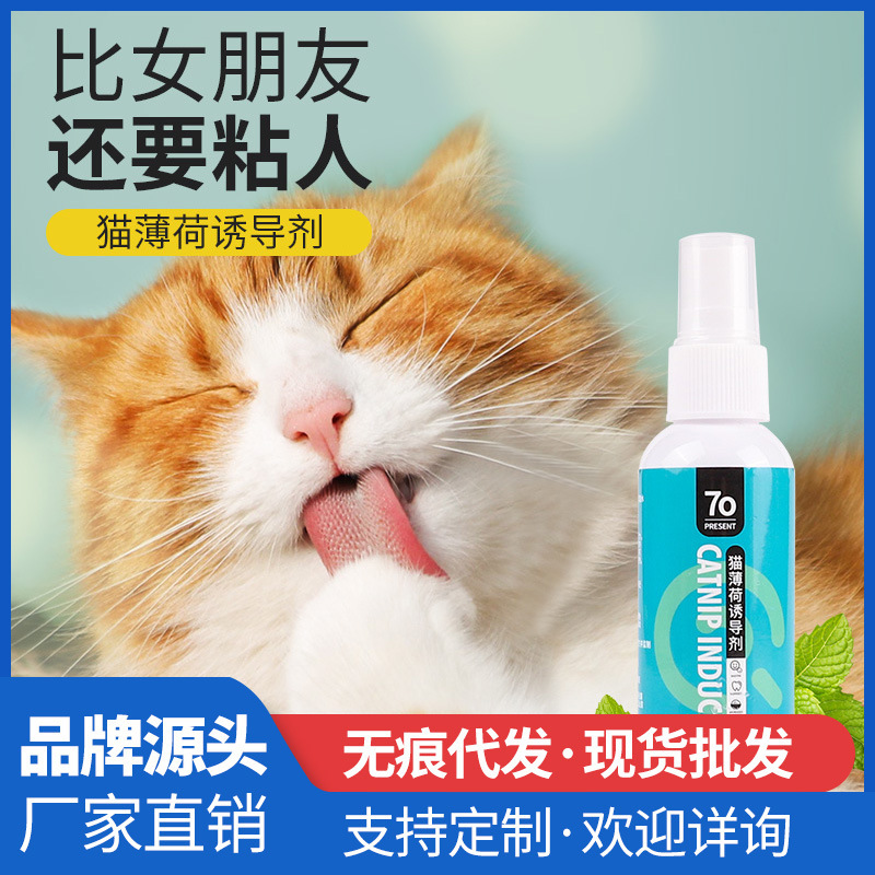 Catnip spray inducer cat happy water inducer kitten zero ball attract appease into cat spot wholesale