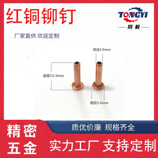 �t�~�Tᔿ����u��2.9MM�܏�12�߼t�~�m�����ӮaƷ�ȶ�N�I��