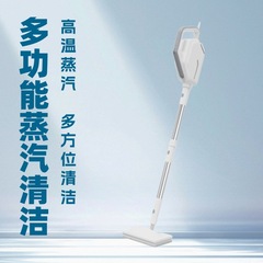 メーカーの新しい家庭用多機能滅菌およびダニ除去スチームクリーナー電気スチームモップスチームクリーン