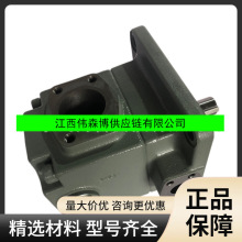 ���ͱ�PV2R2-47F-1R PV2R14-25-200-F-RAAL-35 PV2R2-65-F-RAA-41