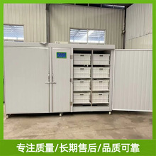 全自动豆芽机设备 日产豆芽2000斤 豆芽生产线定制