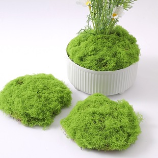 �羳����̦�\��Ƥ�쾰��������̦΢���^���Ô[����ƺ�辰���Դ��l