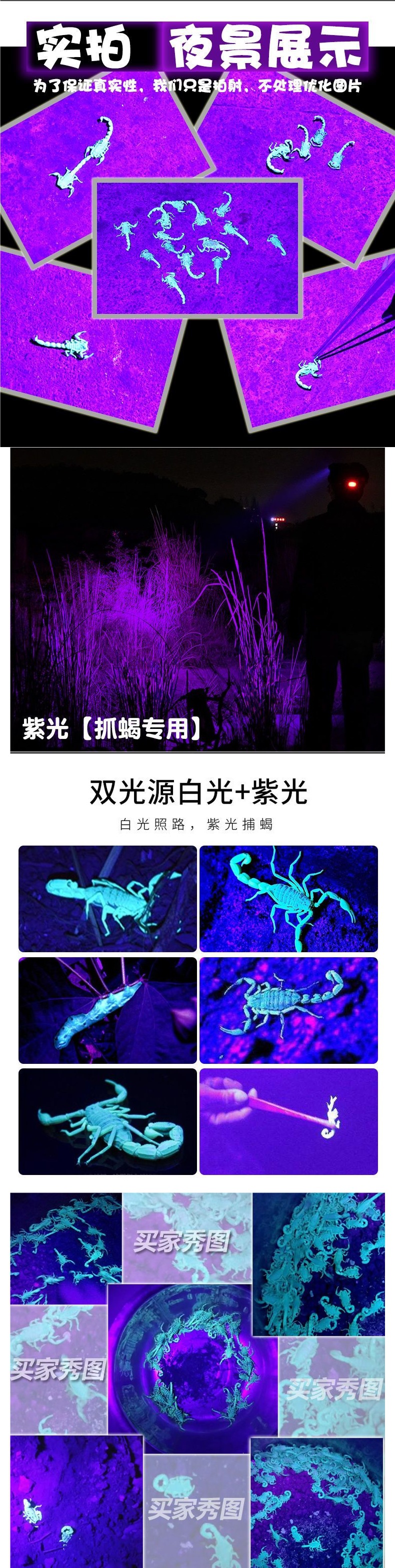 Scorpion lamp, ultra-bright purple light, specialized for catching scorpions, rechargeable UV flashlight for money detection