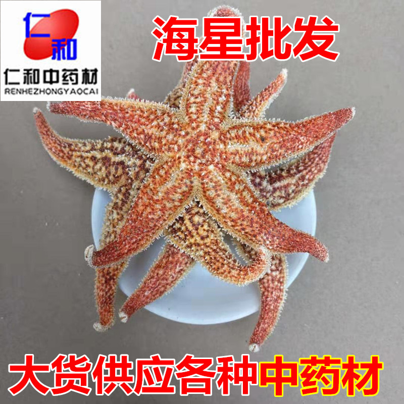 Dried Starfish Wu Zhi Hai Xing Whole Dried Sea Star for Herbal Wine Infusion 500g overview