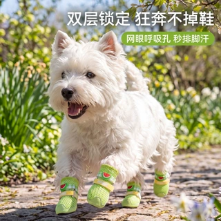 狗狗鞋子夏日水果系列耐磨防滑软底鞋泰迪比熊外出狗狗脚套4只装
