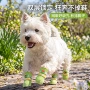 系列耐磨防滑水果脚套