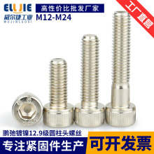 M12-M24iY12.9ߏȺϽ䓱^A^ݽzᔽɫ