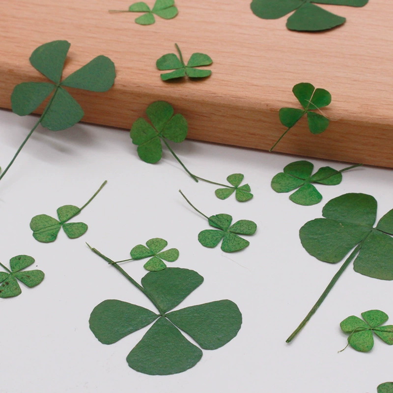 Четырехлистный Клевер настоящий цветок растение лист фоторамка Закладка поздравительная открытка настольная лампа клей капля ювелирные изделия из смолы трансграничная горячая распродажа