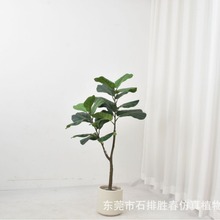 RdNGֲ~żҾӿ͏d쾰bԔ[Gֲ