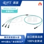 多模定制mpo-24转换线