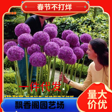 һ�����l���[�N����m�M�ڴ�ʹ�ͺ������ļ�����ֲ��ͥԺ���Դ�