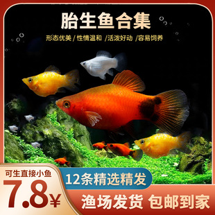 ̥���~�������~С�~���^�p�~�Ꭷ�~С�͵�ˮ���B��ȸ�~�����~