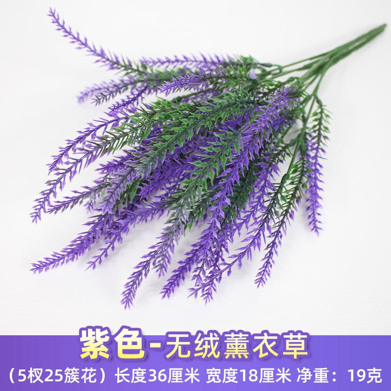 Lavanda púrpura sin pelusa.