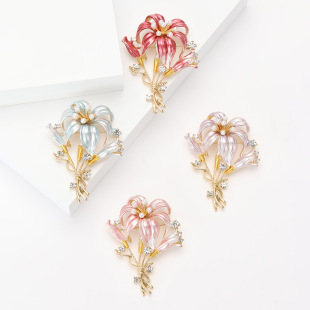 �n�溆�s�r�кϽ�m�Űٺϻ�����ᘃ��Ś��|Ůʿ����ػ��Ʒ�e�