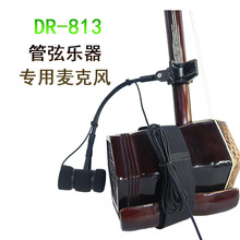 DR-813�����o�������L�Aʽ����/�����ݳ�ֱ��������о�ԒͲ��