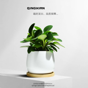 ����ֲ���҃ȃ����՚⻨���ļ�������B��ܶ���G����Gֲ����