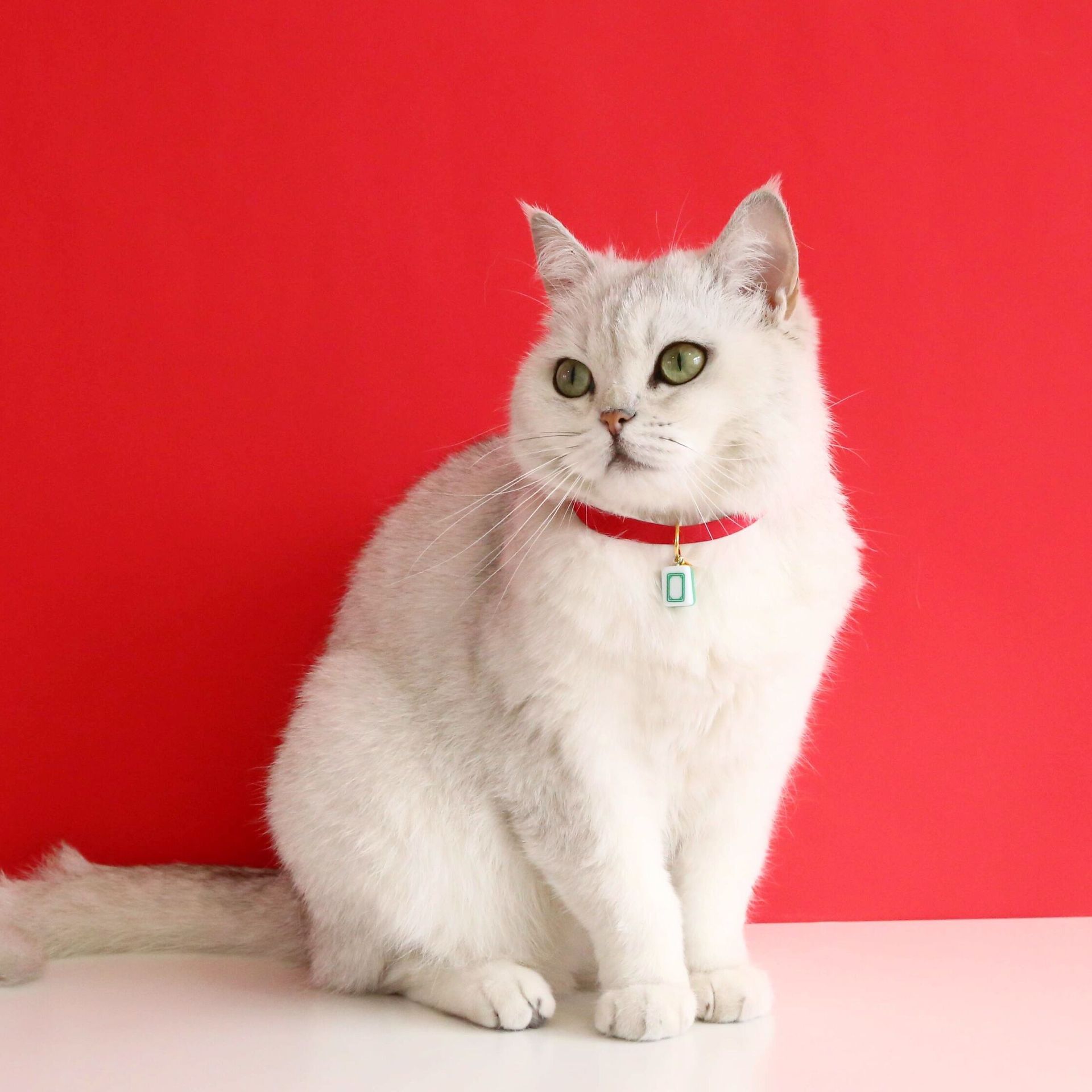 Mascotas gatos Teddy perros conejos cuerda roja mahjong palabras ajustables collar de campanas de Año Nuevo accesorios collar