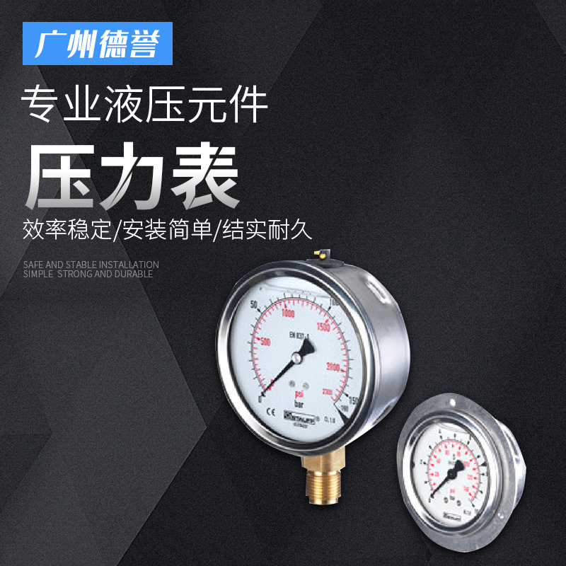 西德福SPG压力表径向负压表水压表充油不锈钢pressure压力表厂家