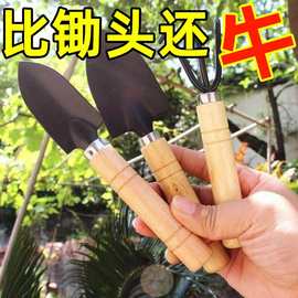 园艺大三件套铁锹铲子挖土松土耙子室内花卉盆栽多肉种花种菜工具