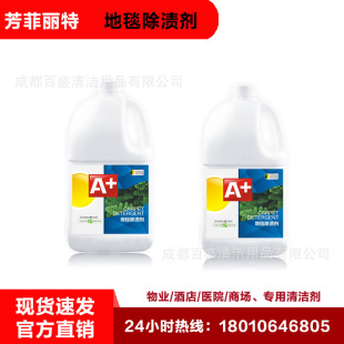 Fanfelitte A carpet stain remover