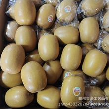 �S��ֱ�N�߷����ˮ��ģ��PU�S����殐���J���ҵ����b�չʾ��Ʒ