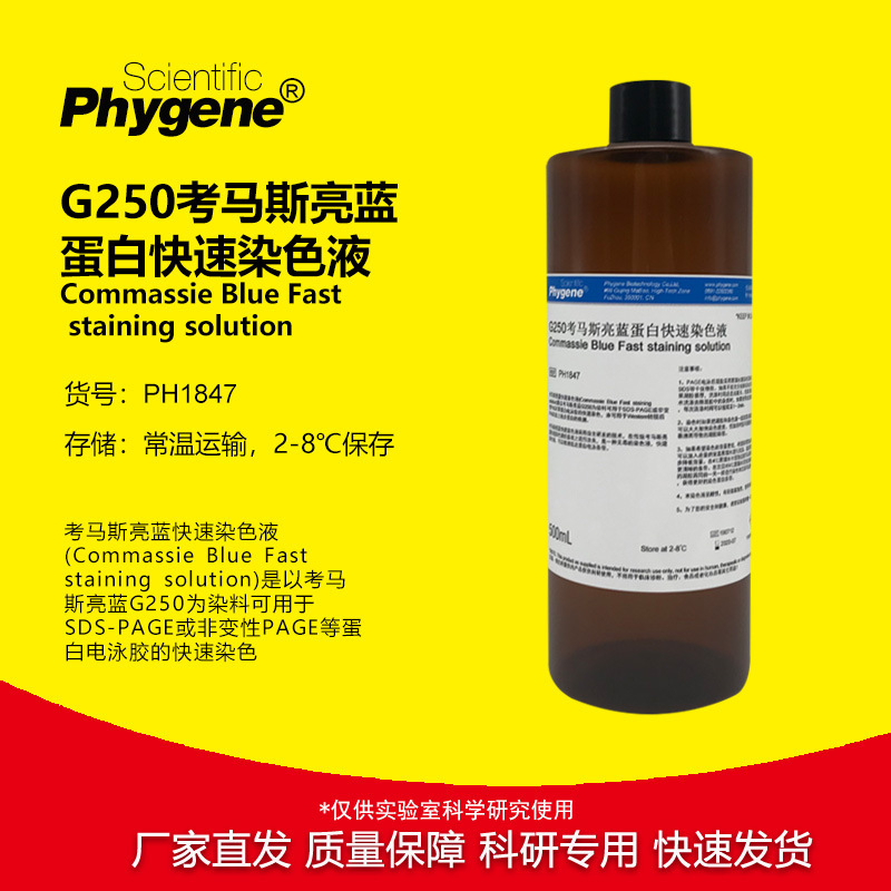 考马斯亮蓝快速染色液 G250染色液 100mL/500mL 电泳实验 蛋白检