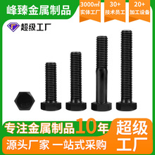 ̼8.8lȫ˨ߏݽzM6M8M10M12M14-M42