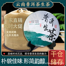 2020������ն�������������S�����l����