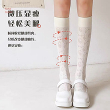 Ůʿõ���С���m�ı�����ϵ����͸�����������z�LͲ�m�S�����l