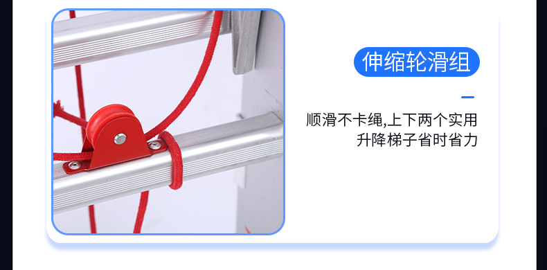 02-g_12.jpg