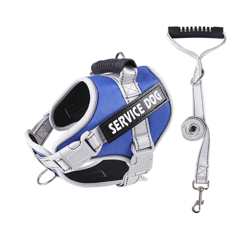 파랑 [가슴 스트랩 + 견인 로프]]