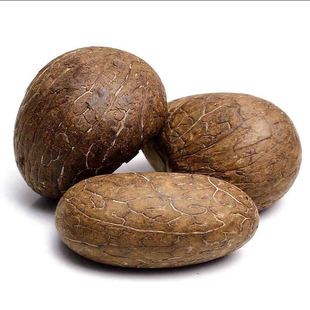 �S�ҹ�������������Ƥԭ��ԭ���й����ֹ���ĥ���ԭ�������ְѼ�