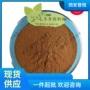 比例原料提取物粉末