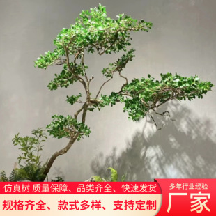 ����� �쾰ֲ���b��҃����������ֲ���̖�[�� �F؛����Gֲ