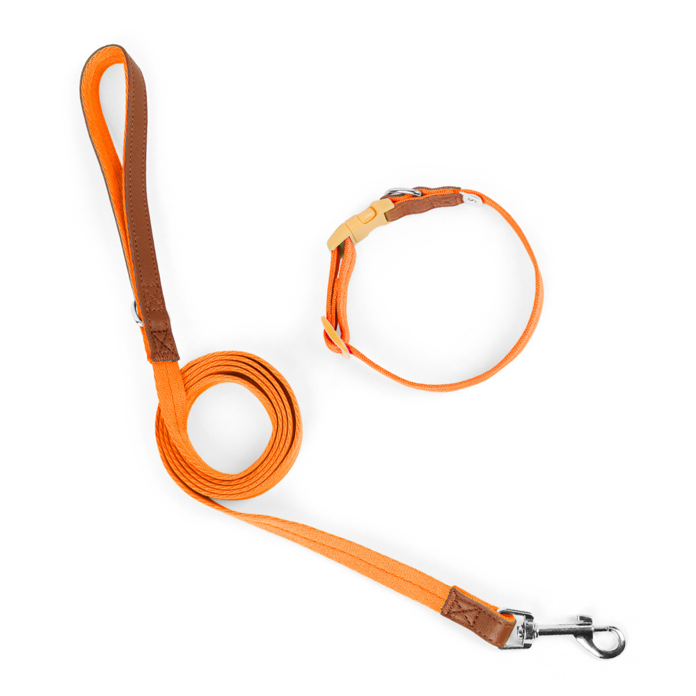 Amazon cross-border pet collar anti-desprendimiento collar conjunto de tracción perro collar perro de entrenamiento perro pequeño y mediano