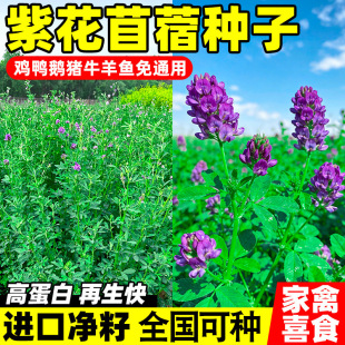 �ϻ���ޣ�N���iţ�����u���Z�������ļ��Bֳ������ޣ�����~�ݷN��
