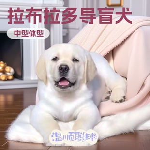 ���N����������Ȯ�̰�ɫ��ɫ��äȮ���w���ﹷ����äȮ�̰�ɫ