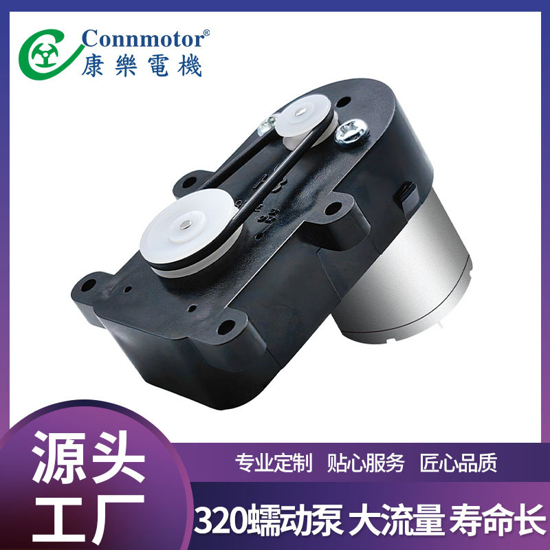 齿轮泵微型齿轮泵仪表保险箱自动售货机金属齿轮梨形微型减速电机