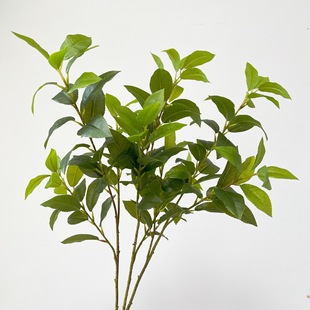 �����~�¹��~�¹���~ �ָ��z�����~�٘�֦�G�~�ӈ@���b[��