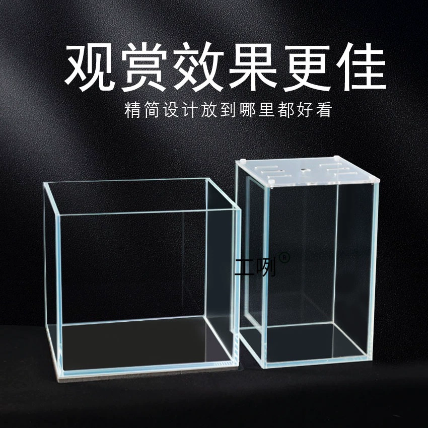 Тайский аквариум для бетты, экологически чистый ультрабелый резервуар высокой четкости для рабочего стола, небольшой офисный аквариум, экологический микроландшафт