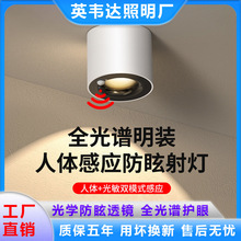 明装人体感应灯家用走廊过道灯入户玄关灯楼道筒灯红外线吸顶射灯
