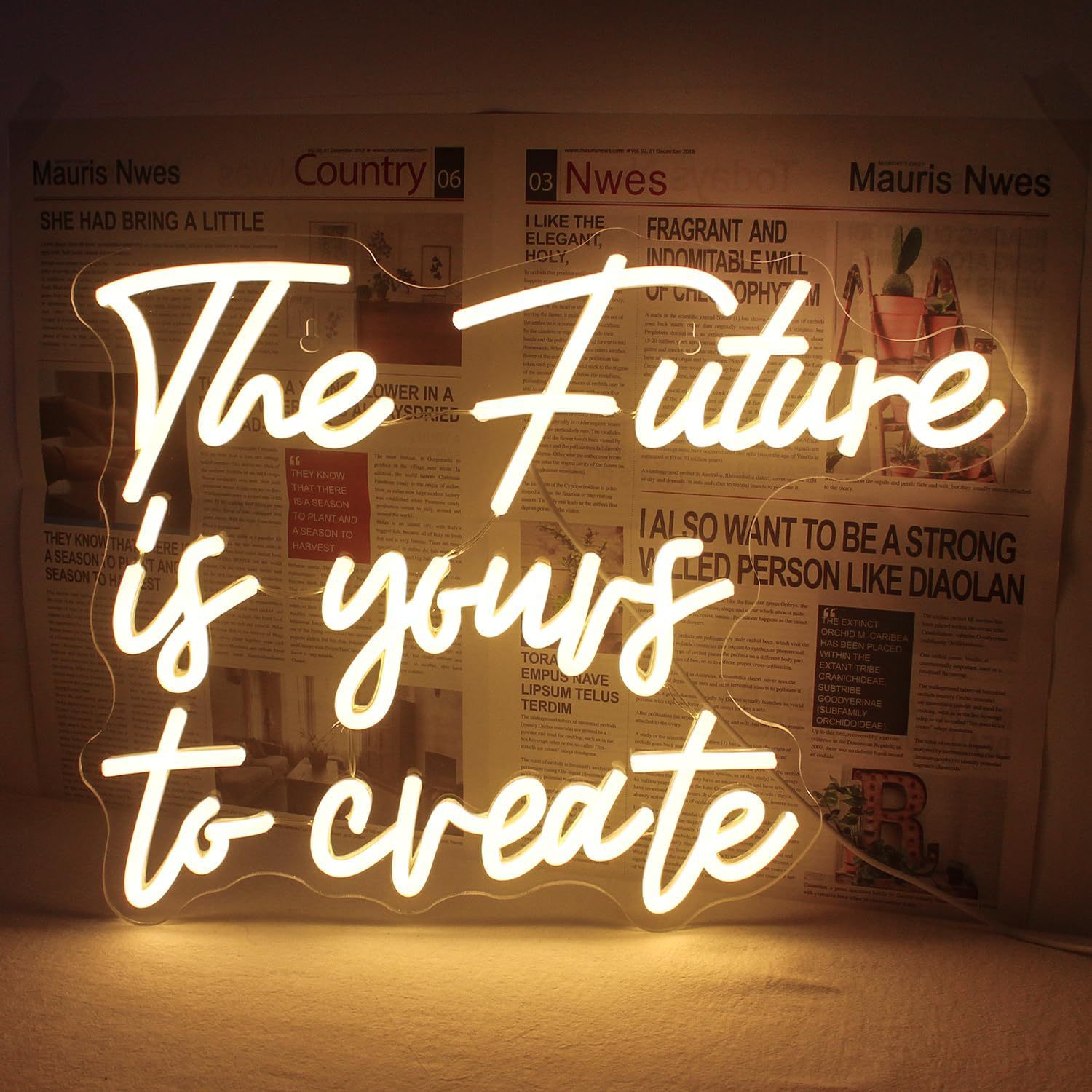 The Future is Yours to Create42x31