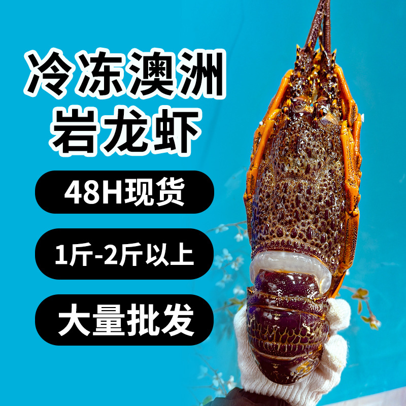 冷冻澳洲龙虾现货批发特大澳龙新鲜澳龙纽龙岩龙红龙冻虾海鲜水产