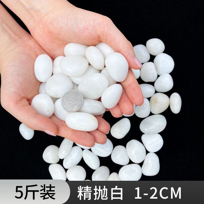 [5kg 팩] 흰 자갈 1-3cm