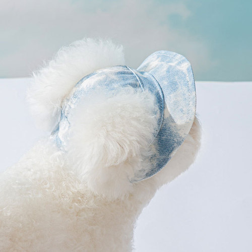 Pet Hat Dog Cute Open Ears Adjustable Fisherman Hat Sun Protection Shade Summer Small Dog Cat Accessories