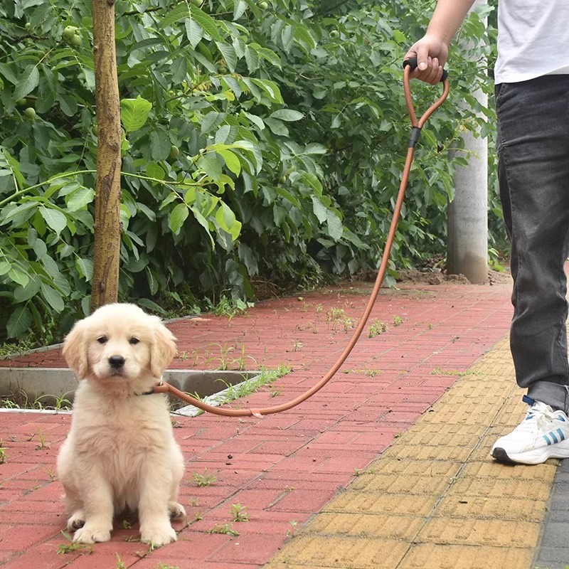 P cuerda p cadena para pasear perros cuerda cuerda para perros cadena a prueba de explosiones perro pequeño, mediano y grande perro pequeño salir a pasear perro artefacto cuerda de tracción para perros