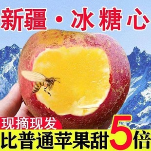�����K�����½����]��������t��ʿ���rˮ�������r���O��һ�����l