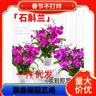 һ�����l��ˮʯ���m���Ԏ����������ͻ����҃�ˮ��ֲ���ļ��_����