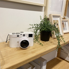 J7IB批发样板间展厅照相机摆件软装饰品道具拍照桌面莱卡模型