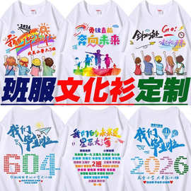 纯棉t恤定制文化衫工作班服圆领短袖diy印字logo同学聚会毕业队服